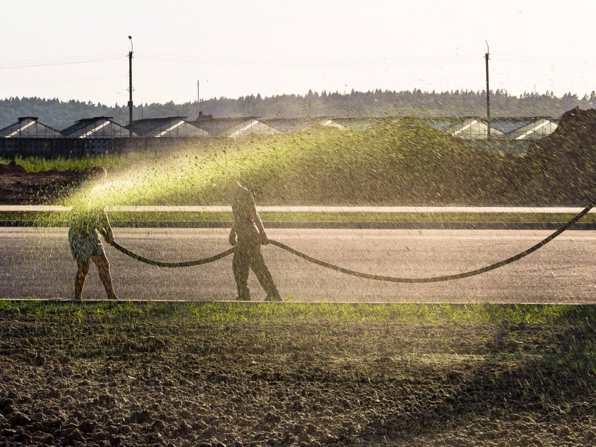 Crew spraying green hydroseed slurry across a freshly graded field at sunset