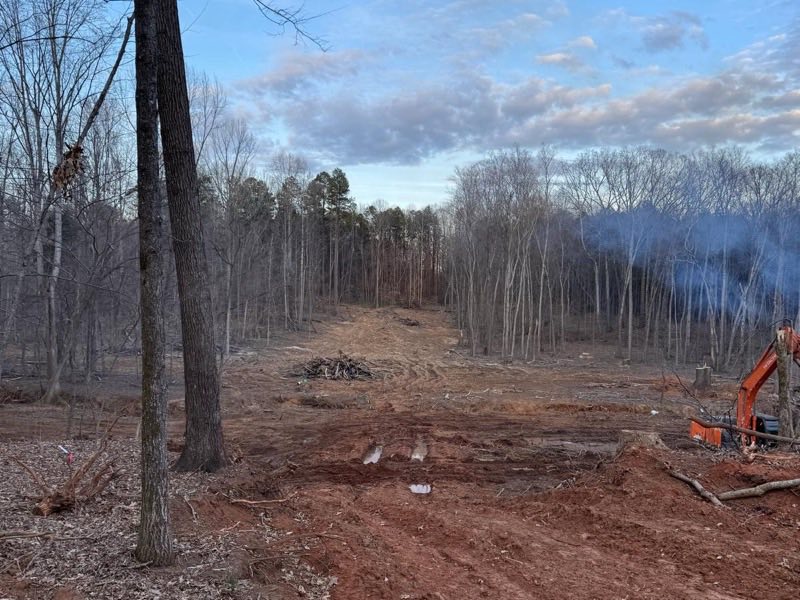 Partly cleared wooded lot with specimen trees left standing and an excavator at the treeline